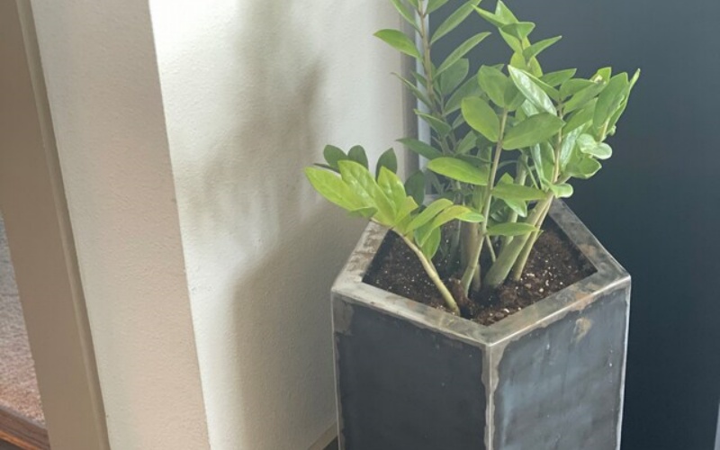 Custom-Logo Steel Planter Boxes Bulk